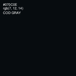 #070C0E - Cod Gray Color Image